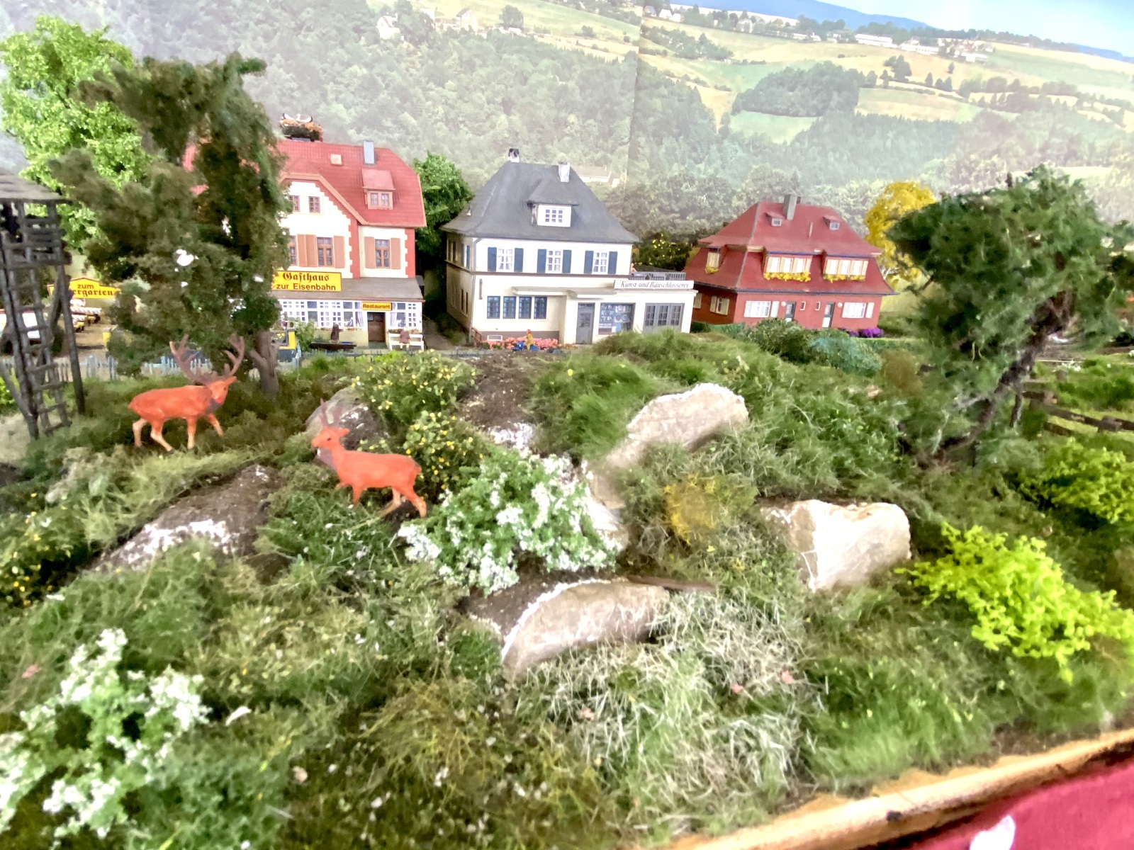 Impressionen Messe Dresden 044