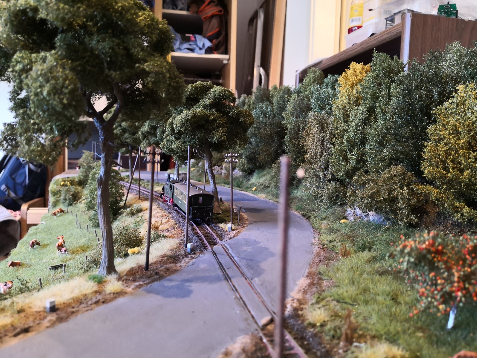 Modellbahn- Ausstellung Limburg