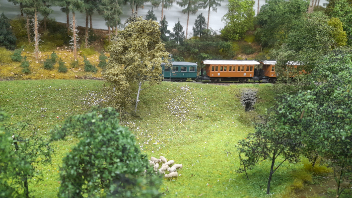 Modelleisenbahnausstellung des Obervogtländischen Modelleisenbahnclub Adorf (Vogtl) e.V.