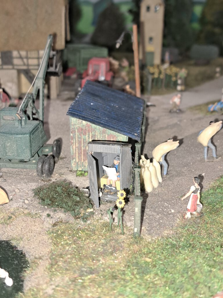 "Studium" des Zentralorgans